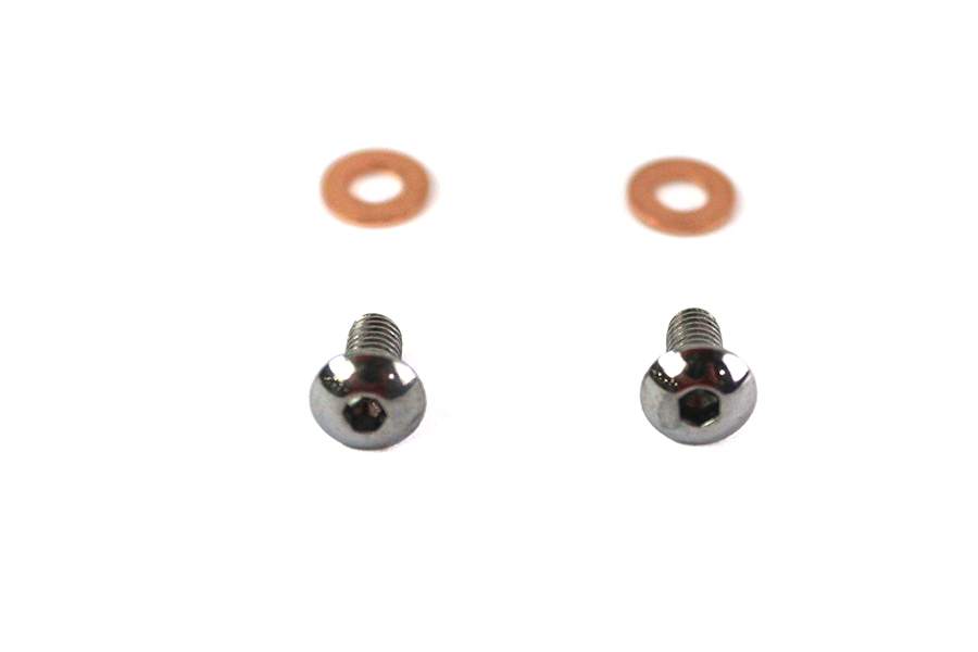 Fork Slider Drain Screws